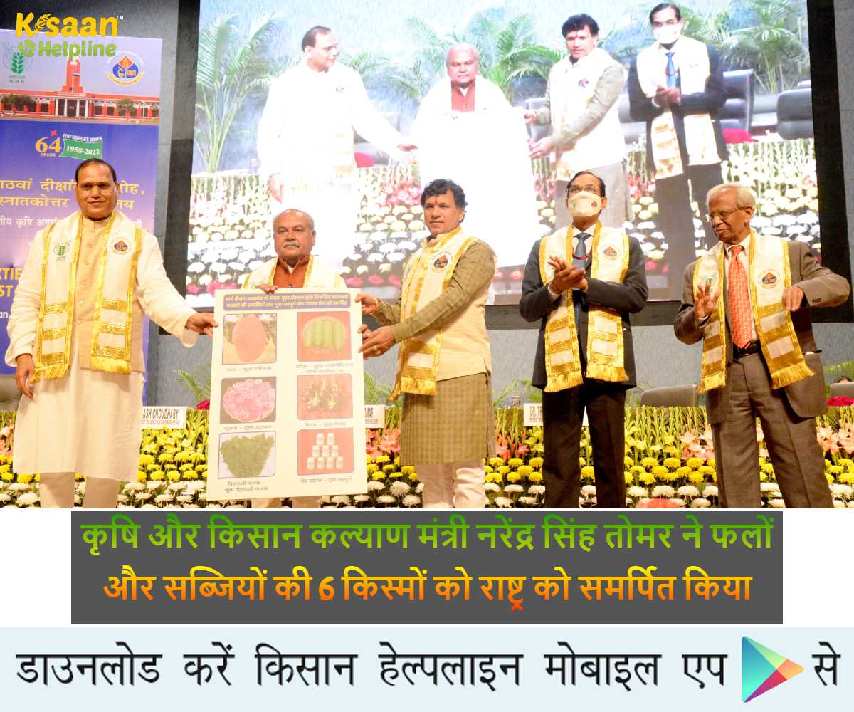 कृषि और किसान कल्याण मंत्री नरेंद्र सिंह तोमर ने फलों और सब्जियों की 6 किस्मों को राष्ट्र को समर्पित किया, बढ़ेगी पैदावार और किसान की आमदनी